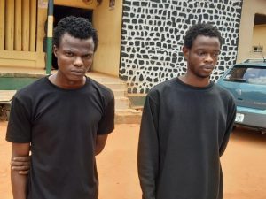 Two brothers arrested for armed robbery