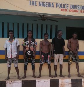 Ogun police