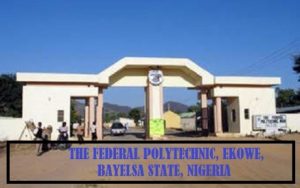 ekowePOLY