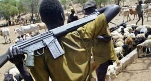 Fulani-Herdsmen