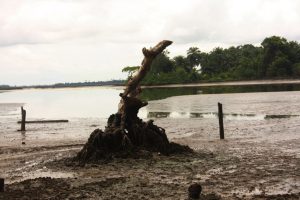 The-effect-of-the-oil-spills-on-the-Otuokpoti-community