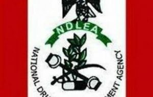 ndlea