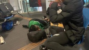 Falconets-sleeping-on-floor-696x391