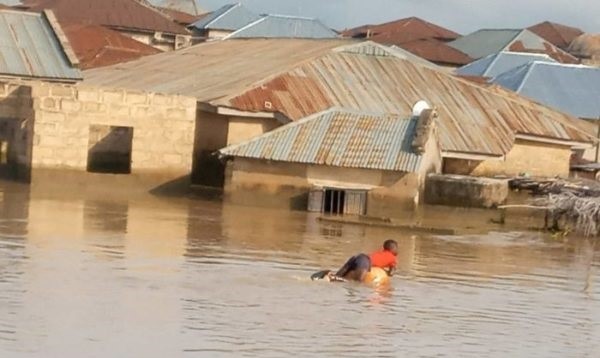 Floods kill 50, injure 71 in Adamawa