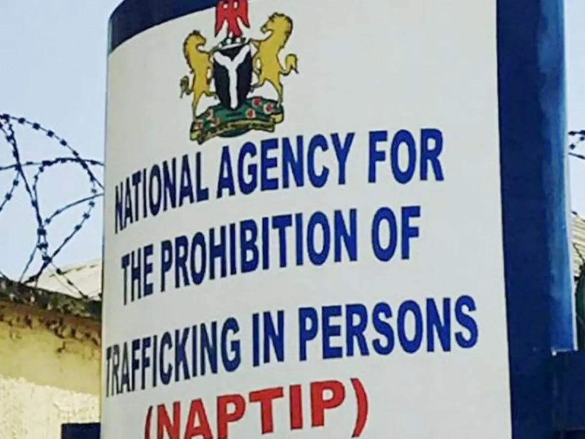 NAPTIP bursts child trafficking in A’Ibom syndicate, rescues 12 children