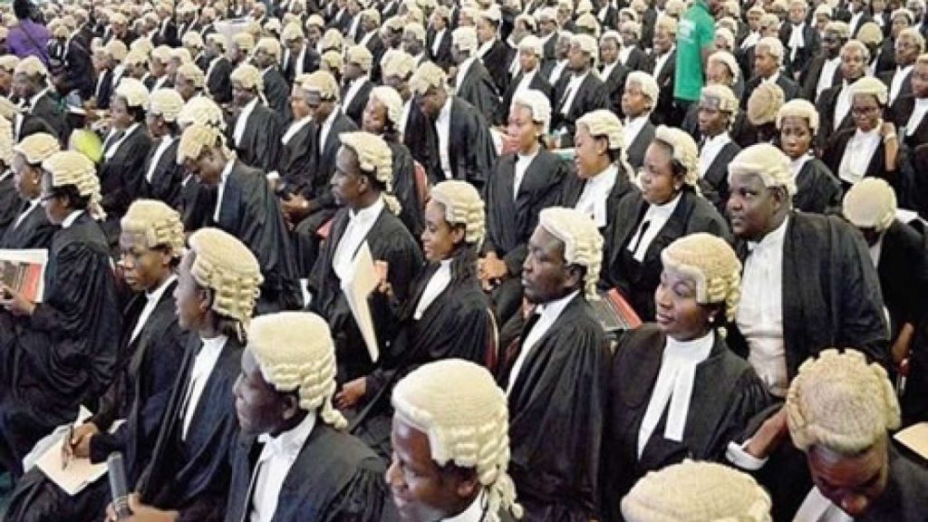 9 professors, 3 EFCC lawyers, 50 others make new SAN list