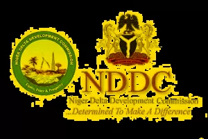 NDDC forensic audit: Ex-agitators seek sanctions against indicted persons