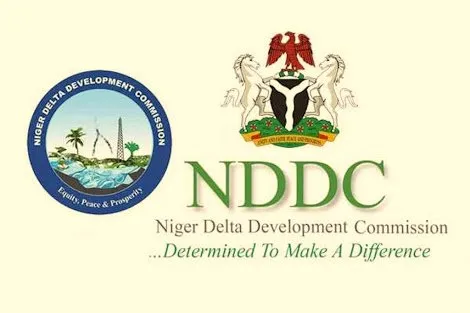 NDDC forensic audit: Ex-agitators seek sanctions against indicted persons