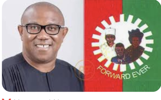 INEC bows to pressure, grants Peter Obi’s lawyers access to inspect election materials