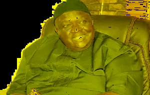 Ohanaeze, Afenifere bicker over Iwuanyanwu’s Awka comment