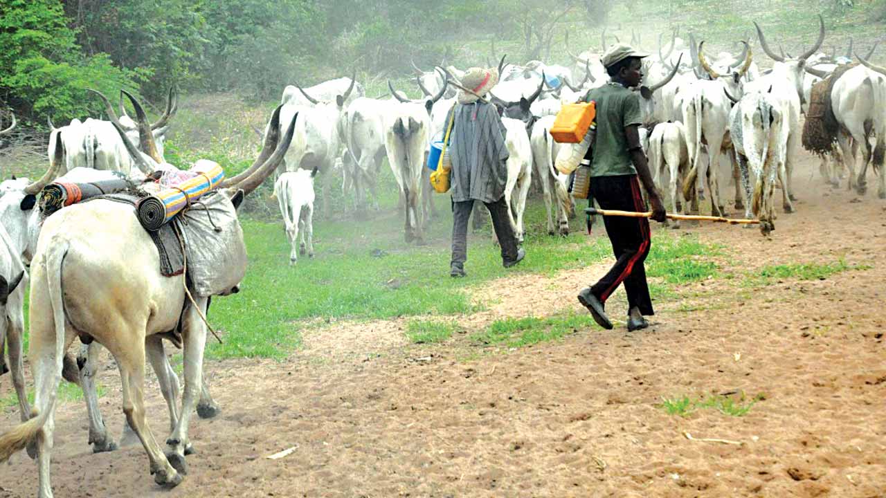 Over 36 killed as herdsmen attacked communities in Benue