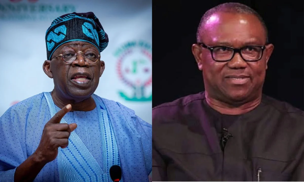 Presidential election: Why INEC shouldn’t have declared Tinubu winner over Obi – Ozoan