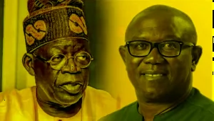 Peter Obi, APM, AA file petitions to nullify Tinubu’s victory