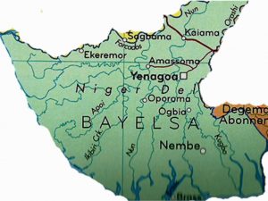 Bayelsa govt seeks opportunities for youths in PAP's economic scheme