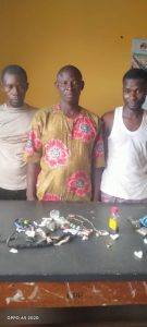 Police in Ogun nab three suspected land grabbers