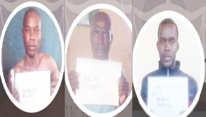 Lagos govt publishes three sex offenders’ details