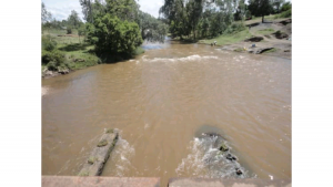Polytechnic student’s body found floating in River