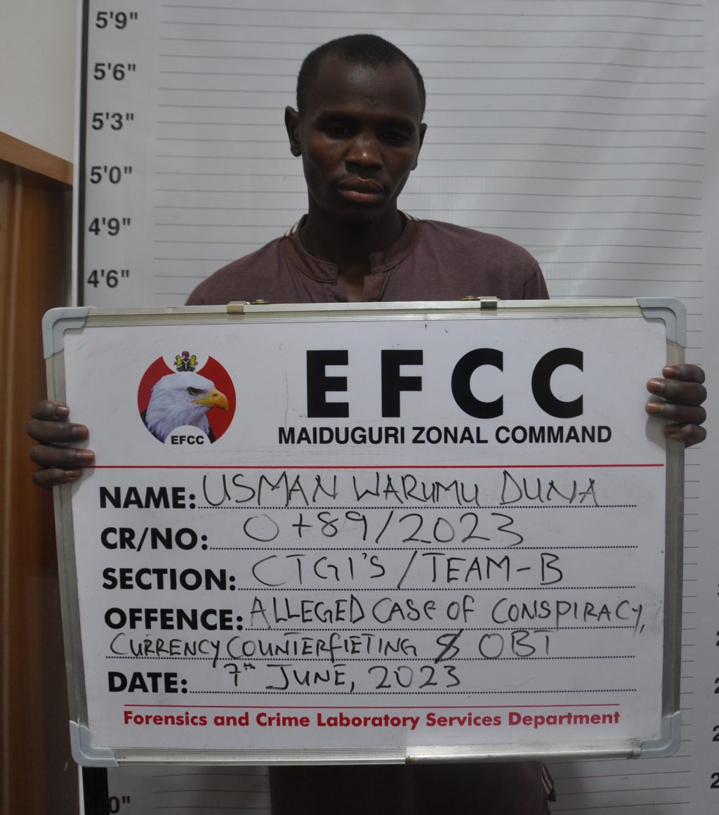 Court jails man three years for Keke NAPEP investment scam in Maiduguri