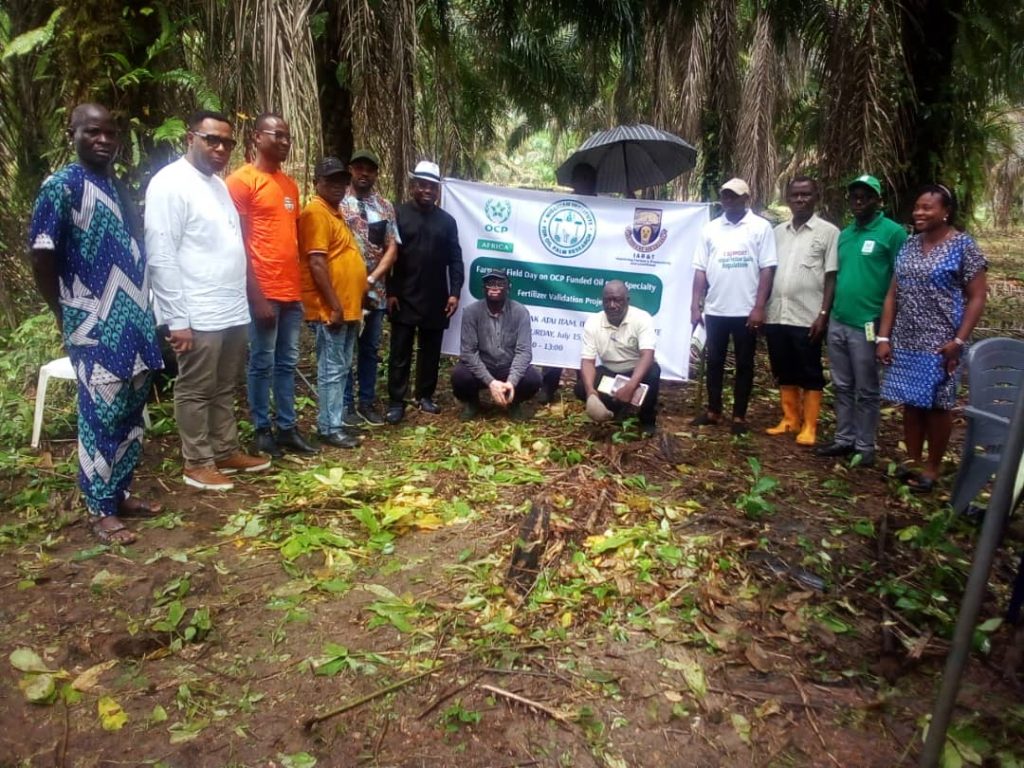 IAR&T, OCP Àfrica formulate fertiliser for oil palm farmers