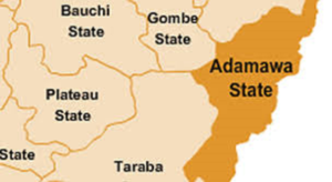 17-yr-old student dies after torture by Task Force in Adamawa
