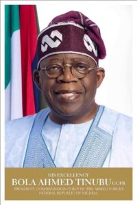 Tinubu releases portfolios of minister - Designates