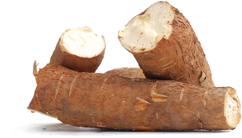 Father kills, burns son for harvesting cassava from his farm