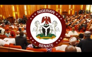 Senate to introduce diaspora voting