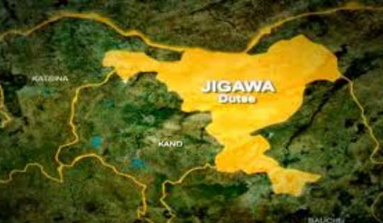 Eleven persons die in auto crash in Jigawa