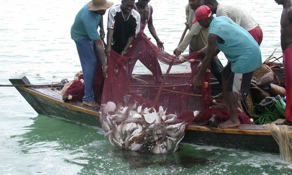 Illegal fishing: Navy arrests 14 suspects, impounds vessel