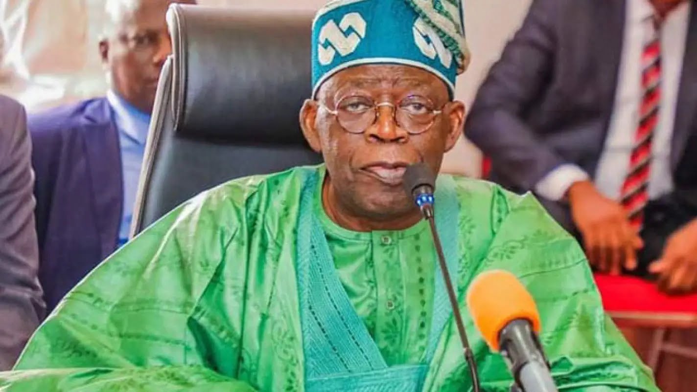 Enemies, opposition after Tunji-Ojo, Ijaw Professionals writes Tinubu