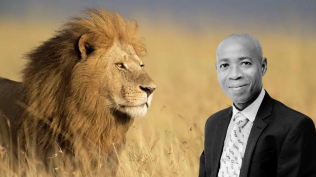 Tragedy: OAU loses staff to lion attack