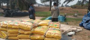 Navy nabs two suspected smugglers, seizes 38 bags of rice