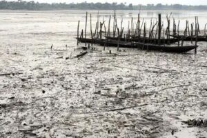 A’Ibom, Rivers want justice over environmental pollution caused by ExxonMobil, Shell