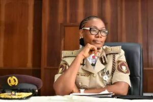 Foreign posting: Aggrieved NIS officers drag CG Kemi Nandap to industrial court