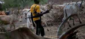 Many killed as suspected herdsmen invade Kogi community