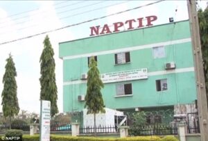 NAPTIP rescues three girls lured into prostitution