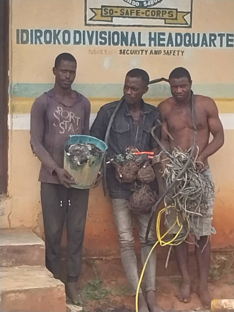 So-Safe Corps arrests 3 suspects for vandalising transformer