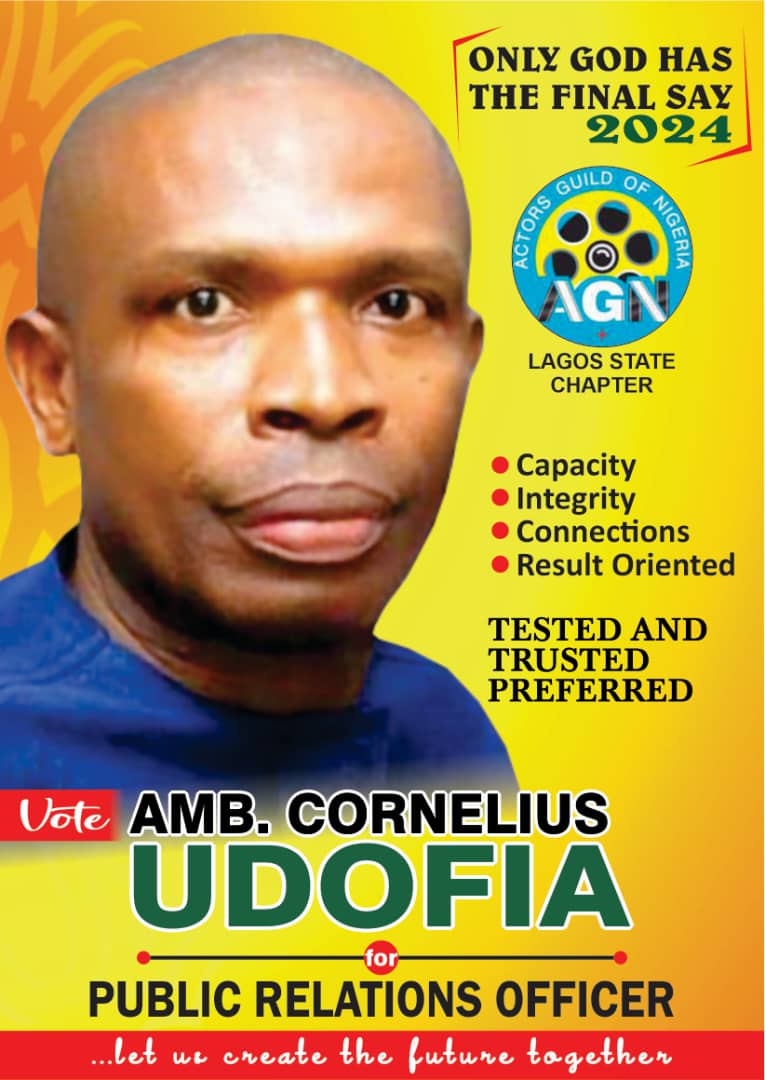 AGN elections hot up as Cornell Udofia eyes PR job