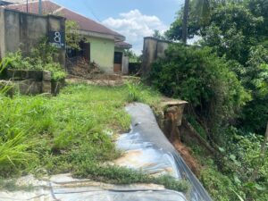 Community seeks Eno's intervention over erosion