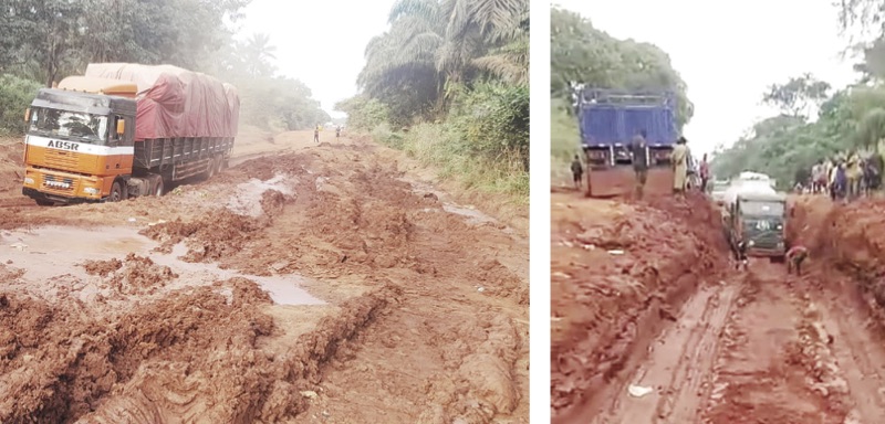 SSA asks FG to fix roads, says existing roads are death traps