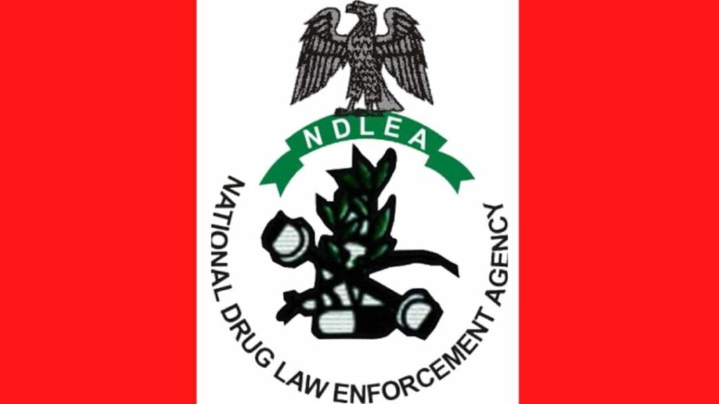 A’Ibom NDLEA nabs 300 suspects, seizes 190.419kg of drugs