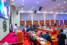 Nigerian senators clash over regional government proposal