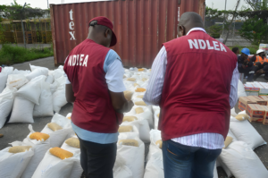 A’Ibom: NDLEA seizes 779.62kg illicit drugs, nabs 299 suspects