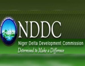 Tinubu gaining regional support through NDDC's performance - Youth groups