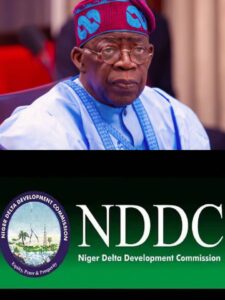 N’Delta stakeholders laud Tinubu, NDDC for transparency, devt