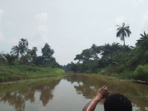 IMG-20250219-WA0001
