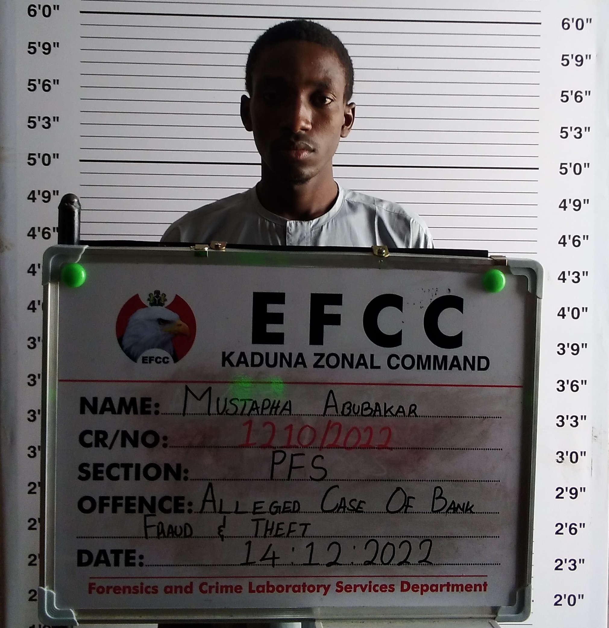 Court jails man for theft in Kaduna