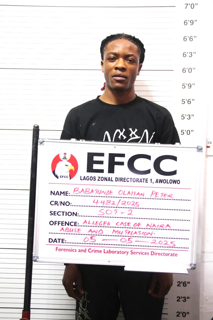 Court jails two six months for Naira abuse in Lagos
