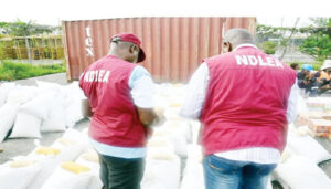NDLEA arrests 312 suspects, seizes 803.672kg between May, June