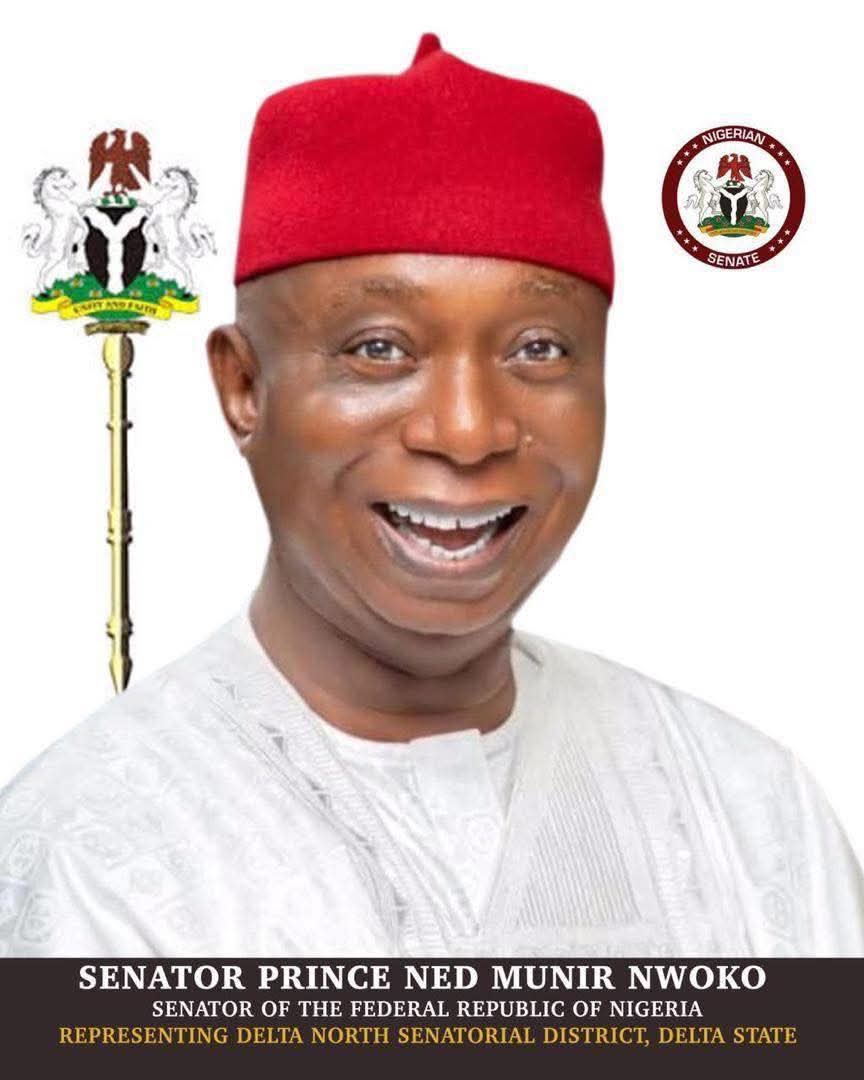Drug abuse crisis demands focused intervention, says Sen Nwoko